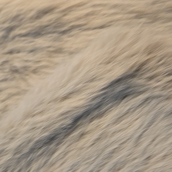 Mystree Gray Teddy Jacket Plush Faux Fur - Picture 3 of 4